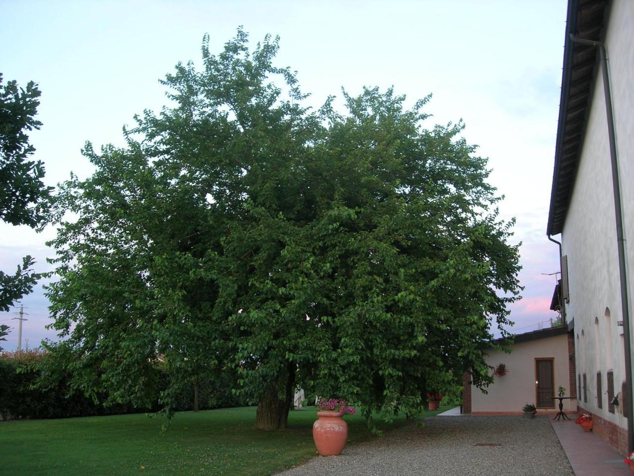 Agriturismo Campass Castelvetro Piacentino ภายนอก รูปภาพ